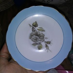 Staffordshire Fine Bone English China Plate